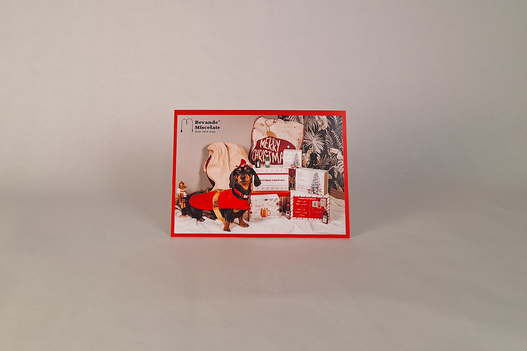 Cartolina Arturo Bassotto Natalizio fronte”