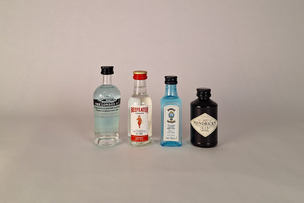 diverse tipologie di gin per il cocktail martini